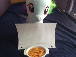 Size: 2592x1936 | Tagged: safe, rainbow dash, g4, build-a-bear, irl, photo, plushie, toy, waifu dinner