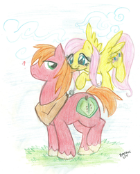 Size: 1856x2296 | Tagged: safe, artist:banami-luv, big macintosh, fluttershy, earth pony, pony, g4, flying, frown, hair pulling, male, nom, question mark, raised leg, ship:fluttermac, shipping, smiling, spread wings, stallion, straight, traditional art