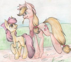 Size: 1024x893 | Tagged: dead source, safe, artist:alcidence, apple bloom, applejack, earth pony, pony, g4, traditional art