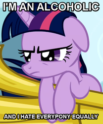 Size: 421x507 | Tagged: safe, twilight sparkle, g4, annoyed, female, grumpy twilight, image macro, reaction image, solo