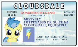 Size: 500x300 | Tagged: safe, misty fly, g4, cloudsdale, id card, wonderbolts