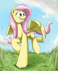 Size: 1693x2052 | Tagged: safe, artist:otakuap, fluttershy, g4, action pose, female, solo