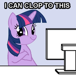 Size: 397x397 | Tagged: safe, twilight sparkle, g4, clop, computer, female, image macro, reaction image, solo, twiface