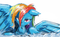 Size: 2560x1600 | Tagged: safe, artist:ruby, rainbow dash, g4, female, solo, wet mane