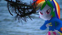 Size: 3840x2160 | Tagged: safe, artist:bastbrushie, rainbow dash, equestria girls, g4, clothes, equestria girls in real life, female, grin, horseshoes, irl, lake, photo, shadow, smiling, solo, tree branch, vector