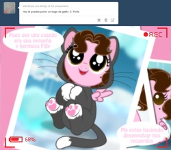 Size: 1236x1082 | Tagged: safe, artist:shinta-girl, oc, oc only, oc:shinta pony, ask, cat costume, cat's pajamas, clothes, costume, kigurumi, onesie, pajamas, spanish, translated in the description, tumblr