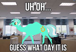 Size: 540x370 | Tagged: safe, edit, lyra heartstrings, camel, g4, geico, hump day, image macro, meme, species swap, wat