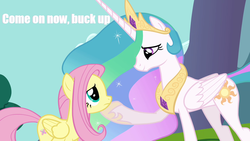 Size: 1280x720 | Tagged: safe, fluttershy, princess celestia, g4, caption, cheer up