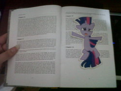 Size: 1600x1200 | Tagged: safe, artist:dm29, twilight sparkle, g4, bookmark, female, flat, flattened, paper child, photo, solo, squished