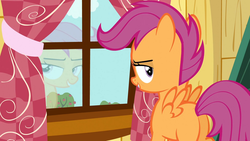 Size: 1920x1080 | Tagged: safe, artist:outofcontextmylittlepony, screencap, scootaloo, g4, ponyville confidential, butt, female, grin, looking at you, looking back, out of context, plot, scootabutt, solo, spread wings