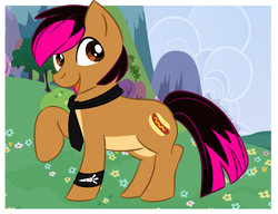 Size: 1111x852 | Tagged: safe, oc, oc only, pony, ponified, solo