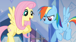 Size: 640x355 | Tagged: safe, screencap, fluttershy, rainbow dash, g4, games ponies play, meme, mlp-captions, youtube caption