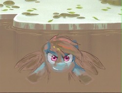 Size: 1250x960 | Tagged: artist needed, source needed, safe, rainbow dash, g4, female, mud, solo