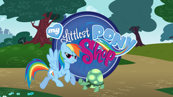 Size: 1920x1080 | Tagged: safe, rainbow dash, tank, tortoise, g4, crossover, littlest pet shop, logo, pmv