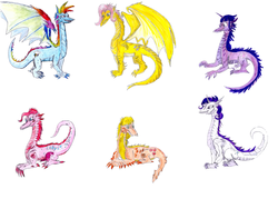 Size: 1896x1354 | Tagged: safe, artist:midnight-ska, applejack, fluttershy, pinkie pie, rainbow dash, rarity, twilight sparkle, dragon, g4, dragoness, dragonified, dragonjack, female, flutterdragon, mane six, pinkiedragon, rainbow dragon, raridragon, species swap, twilidragon
