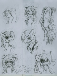 Size: 1683x2257 | Tagged: safe, artist:digitaldomain123, oc, oc only, concept art, doodle, expressions, sketch, traditional art
