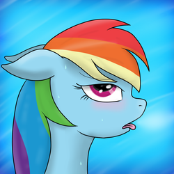 Size: 864x864 | Tagged: safe, artist:rd-brony, rainbow dash, g4, blushing, female, solo, sweat, tongue out