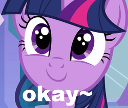 Size: 565x478 | Tagged: safe, twilight sparkle, g4, female, okay, okay face, smiling, solo, text edit