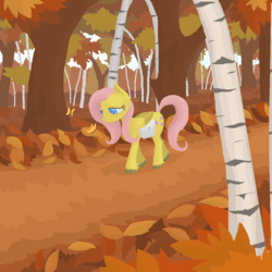 Size: 1153x1151 | Tagged: dead source, safe, artist:phidippusofmystery, fluttershy, butterfly, insect, g4, autumn, female, saddle bag, solo, unshorn fetlocks