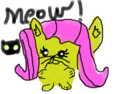 Size: 1600x1200 | Tagged: safe, fluttershy, cat, g4, female, solo