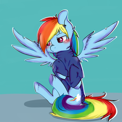 Size: 1024x1024 | Tagged: safe, artist:chibimlp-lover, rainbow dash, g4, blushing, clothes, female, solo, sweater