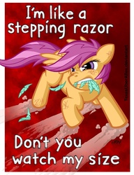 Size: 553x720 | Tagged: safe, artist:texasuberalles, scootaloo, pegasus, pony, g4, angry, feather, female, fight, filly, mouth hold, peter tosh, scratches, scrunchy face, solo, song reference, stepping razor