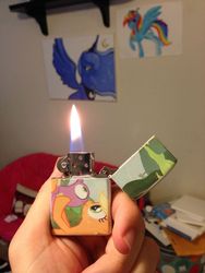 Size: 1836x2448 | Tagged: safe, applejack, spike, apple family reunion, g4, customized toy, irl, lighter, photo, zippo, zippo spike