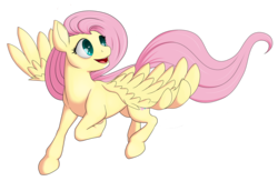 Size: 2649x1729 | Tagged: safe, artist:xonxt, fluttershy, pegasus, pony, g4, female, simple background, solo, spread wings, transparent background, wings