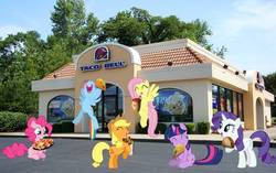 Size: 672x422 | Tagged: safe, applejack, fluttershy, pinkie pie, rainbow dash, rarity, twilight sparkle, earth pony, pegasus, pony, unicorn, g4, irl, mane six, photo, ponies eating meat, ponies in real life, taco, taco bell