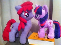 Size: 1024x765 | Tagged: safe, artist:leetmiksu, berry punch, berryshine, twilight sparkle, g4, duo, irl, photo, plushie