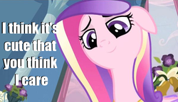 Size: 599x346 | Tagged: safe, princess cadance, g4, caption, female, image macro, solo