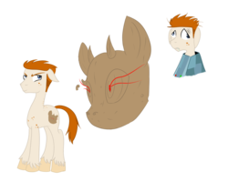 Size: 1024x819 | Tagged: safe, artist:hellangelwolfrevenge, cutie mark, ponified, revenge of the island, scott (total drama), total drama island