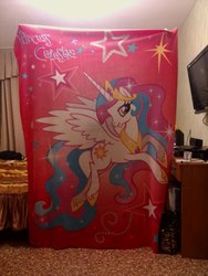 Size: 768x1024 | Tagged: safe, princess celestia, g4, merchandise, plaid