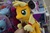 Size: 4912x3264 | Tagged: safe, artist:negasun, applejack, g4, hatless, irl, missing accessory, photo, plushie, russian