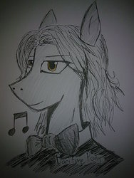 Size: 960x1280 | Tagged: safe, artist:lawrencexviii, pony, bowtie, bust, clothes, male, music notes, portrait, solo, stallion, traditional art