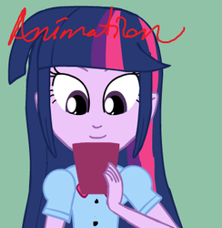 Size: 366x375 | Tagged: safe, artist:xenstroke, pinkie pie, twilight sparkle, equestria girls, g4, animated at source, flash, it burns burns burns, singing