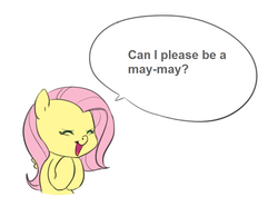 Size: 900x637 | Tagged: safe, fluttershy, g4, exploitable meme, female, fluttershy's bubble, meme, solo