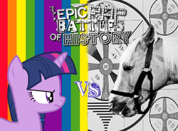 Size: 950x700 | Tagged: safe, twilight sparkle, horse, g4, epic rap battles of history, hoers, horse-pony interaction, mister ed