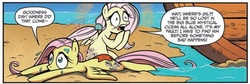 Size: 588x198 | Tagged: safe, idw, official comic, fluttershy, friendship is magic #13, g4, my little pony: friendship is magic (idw), spoiler:comic