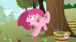 Size: 640x355 | Tagged: safe, screencap, pinkie pie, earth pony, pony, g4, magical mystery cure, anatomically incorrect, apple, applebucking, basket, bucking, bushel basket, fail, female, food, frown, incorrect leg anatomy, meme, mlp-captions, open mouth, ouch, pinkamena diane pie, solo, swapped cutie marks, this, tree, underhoof, wide eyes, youtube caption