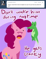 Size: 500x647 | Tagged: safe, artist:steveholt, gummy, pinkie pie, g4, pinkie pie answers, tumblr