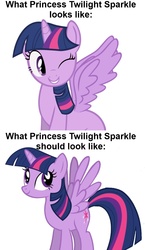 Size: 700x1210 | Tagged: safe, twilight sparkle, alicorn, pony, g4, comparison, opinion, princess, text, twilight sparkle (alicorn), wings