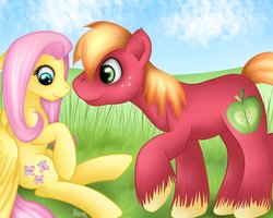 Size: 1000x800 | Tagged: safe, artist:puggie, big macintosh, fluttershy, earth pony, pony, g4, male, ship:fluttermac, shipping, stallion, straight