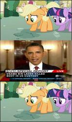 Size: 608x1024 | Tagged: safe, applejack, twilight sparkle, human, g4, american presidents, barack obama, exploitable meme, hub logo, hubble, irl, irl human, lying, meme, news, op is trying to start shit, osama bin laden, photo, president, truth meme