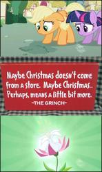 Size: 607x1024 | Tagged: safe, applejack, twilight sparkle, g4, dr. seuss, exploitable meme, how the grinch stole christmas, hub logo, implied seeds of truth, meme, quote, sign, truth blossom, truth meme