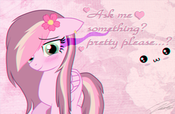 Size: 2000x1300 | Tagged: dead source, safe, artist:pinkyaudir8, oc, oc only, oc:pinky, pegasus, pony, sombra eyes