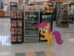 Size: 1024x768 | Tagged: safe, artist:affanita, artist:dreamland200, scootaloo, human, g4, display case, dvd, energy drink, female, filly, foal, irl, kroger, magazine, photo, ponies in real life, potato chips, red bull, reflection, sign, soda, solo, store, vector