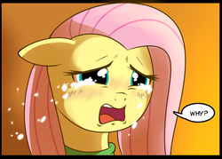 Size: 567x405 | Tagged: safe, artist:madmax, fluttershy, g4, clothes, female, reaction image, solo, sweater, sweatershy, why