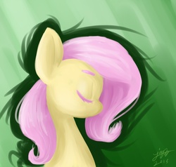 Size: 1140x1085 | Tagged: safe, artist:lizzyoli-ravioli, fluttershy, g4, female, solo