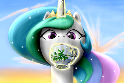 Size: 800x533 | Tagged: safe, artist:everypone, princess celestia, alicorn, pony, g4, female, looking at you, solo, tea, teacup